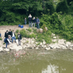 dispersione ceneri versilia onoranze mantova