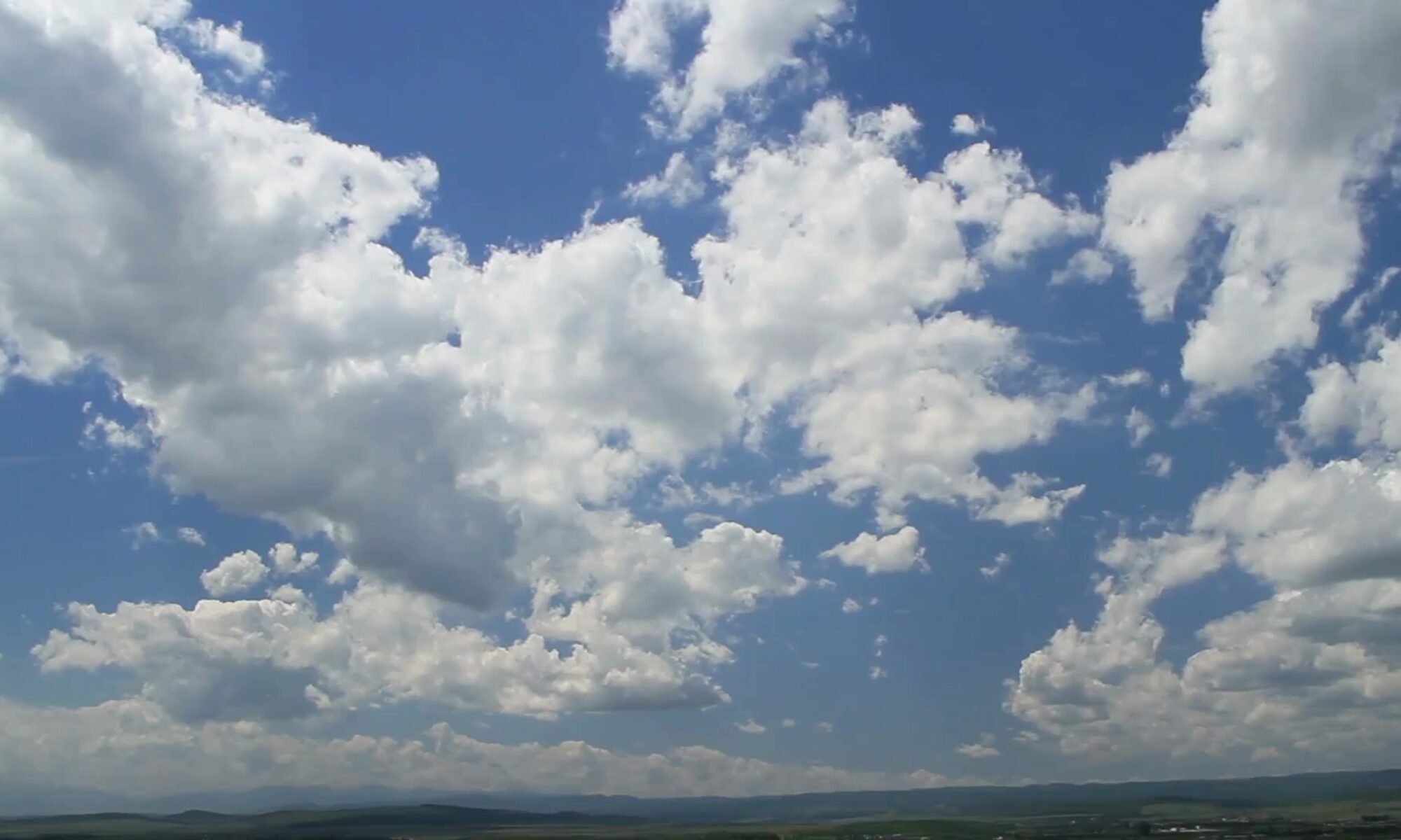 servizi funebri qualificati