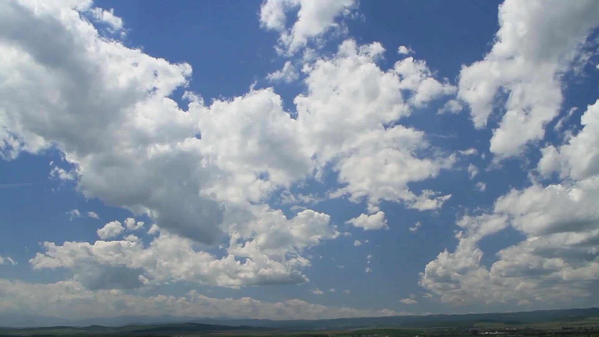 contatti versilia onoranze mantova